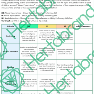 Balayage technique assessment rubric measuring sectioning, blending, saturation, and gradient transitioning.