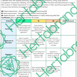 Salon rubric assessing bleach retouch techniques including application precision, timing, and sensitivity management.
