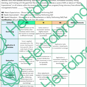 Toner formulation and application rubric assessing saturation, precision, accuracy, and timing in professional salon settings.