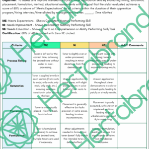 Process-focused toner assessment rubric measuring timing, saturation, placement, and application method.