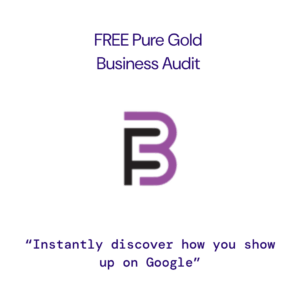 Free Google Business Audit